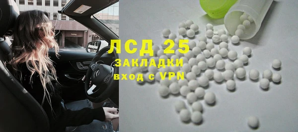 стаф Алексин