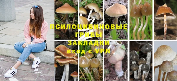герыч Алзамай