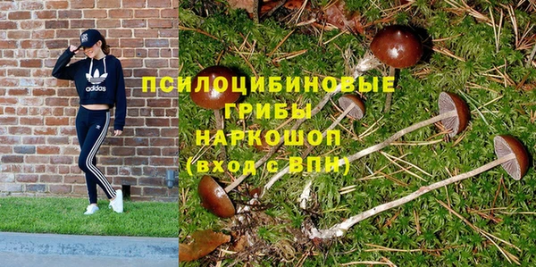 стаф Алексин