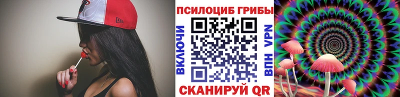 Псилоцибиновые грибы GOLDEN TEACHER Купить где Гаврилов Посад